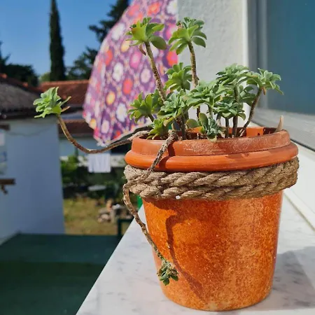 Centar Paklenica * Seline