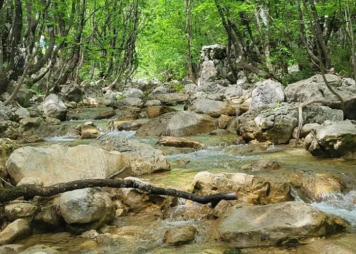 Апартаменты Centar Paklenica *