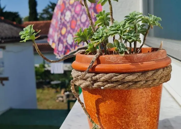 Centar Paklenica * Seline